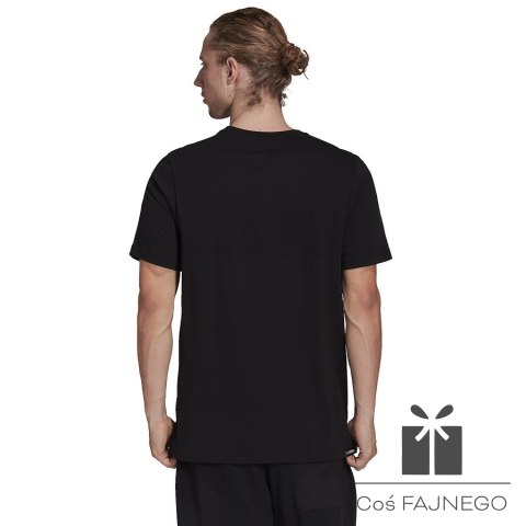 Koszulka adidas Terrex Mountain Fun Graphic Tee H50930, Rozmiar: M