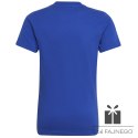 Koszulka adidas Big Logo Tee HP0840, Rozmiar: 140 cm