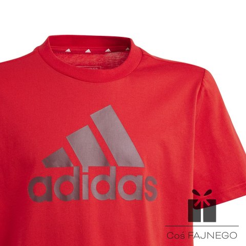 Koszulka adidas Big Logo Tee Jr IJ6262, Rozmiar: 140 cm