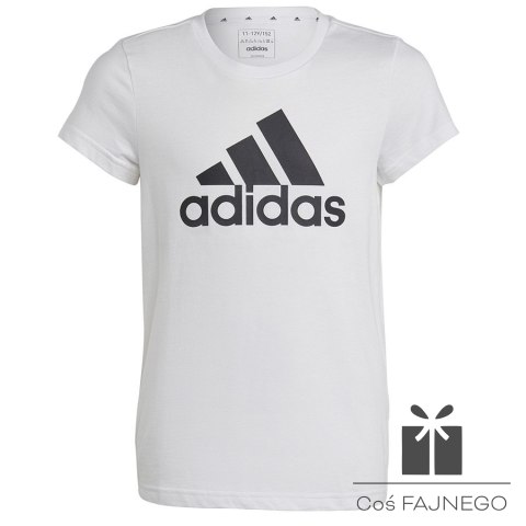 Koszulka adidas Big Logo Tee girls Jr IC6121, Rozmiar: 152 cm
