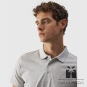 Koszulka polo 4F 4FWMM00TPTSM316 27S, Rozmiar: XL