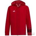 Kurtka adidas ENTRADA 22 AW Jacket IK4013, Rozmiar: 152 cm