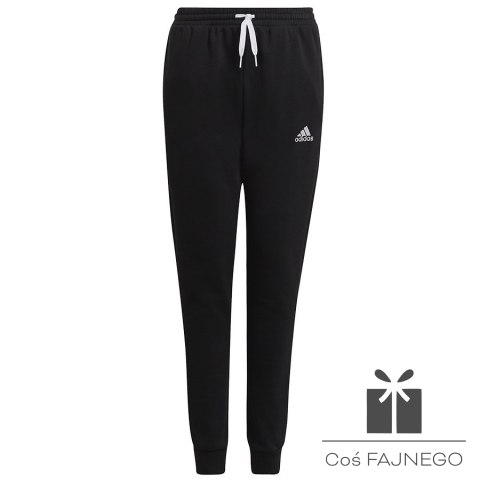 Spodnie adidas ENTRADA 22 Sweat Panty Y H57518, Rozmiar: 152 cm