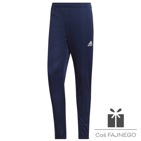 Spodnie adidas ENTRADA 22 Training Panty HC0333, Rozmiar: S