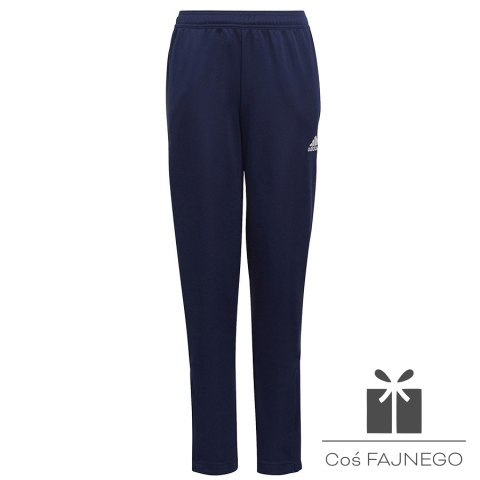 Spodnie adidas ENTRADA 22 Training Panty Y HC0336, Rozmiar: 152 cm