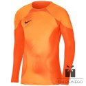 Bluza Nike Gardien IV Goalkeeper JSY DH7967 819, Rozmiar: M