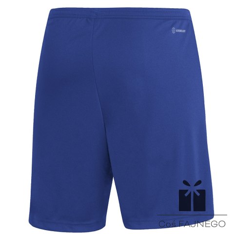 Spodenki adidas ENTRADA 22 Short HG6294, Rozmiar: XL
