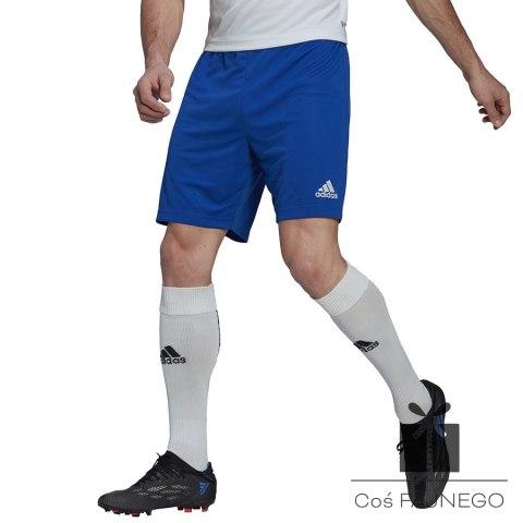 Spodenki adidas ENTRADA 22 Short HG6294, Rozmiar: L