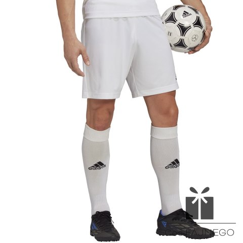 Spodenki adidas ENTRADA 22 Short HG6295, Rozmiar: L