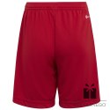 Spodenki adidas ENTRADA 22 Short Y H57501, Rozmiar: 164 cm