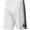 Spodenki adidas SQUADRA 21 Short GN5773, Rozmiar: S