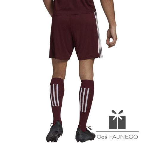 Spodenki adidas SQUADRA 21 Short GN8083, Rozmiar: L