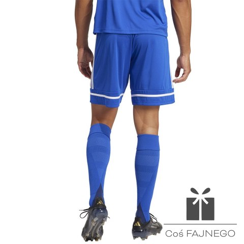 Spodenki adidas SQUADRA 25 Short JN5465, Rozmiar: M