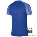 Koszulka Nike Dri-FIT Academy DH8031 463, Rozmiar: M