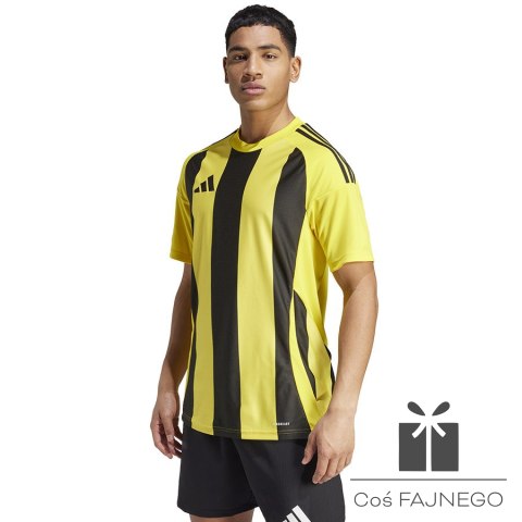 Koszulka adidas STRIPED 24 JSY IW2146, Rozmiar: L