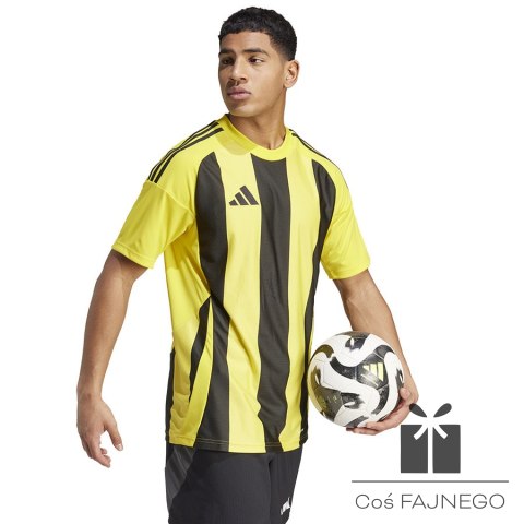 Koszulka adidas STRIPED 24 JSY IW2146, Rozmiar: L