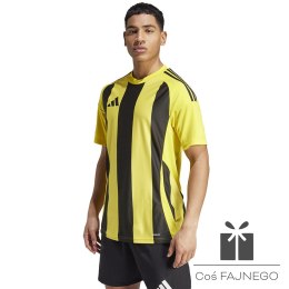 Koszulka adidas STRIPED 24 JSY IW2146, Rozmiar: M