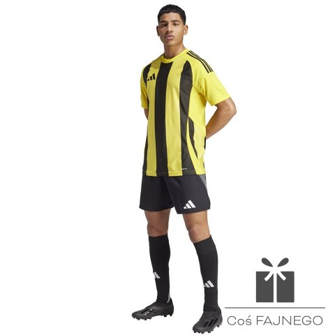 Koszulka adidas STRIPED 24 JSY IW2146, Rozmiar: M