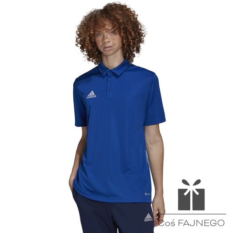 Koszulka adidas Polo ENTRADA 22 HG6285, Rozmiar: S