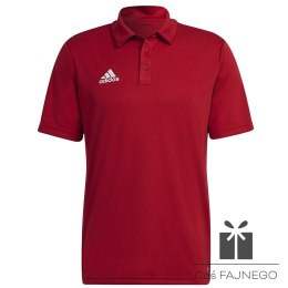 Koszulka adidas Polo ENTRADA 22 Polo H57489, Rozmiar: XL