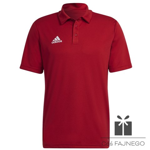 Koszulka adidas Polo ENTRADA 22 Polo H57489, Rozmiar: XXXL