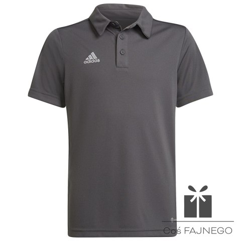 Koszulka adidas Polo ENTRADA 22 Y H57485, Rozmiar: 128 cm