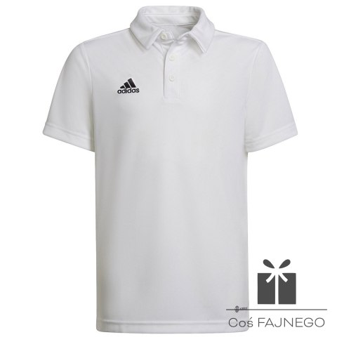 Koszulka adidas Polo ENTRADA 22 Y HC5059, Rozmiar: 128 cm
