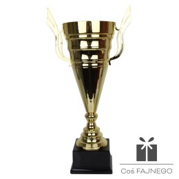 Puchar Tryumf 1068, 0