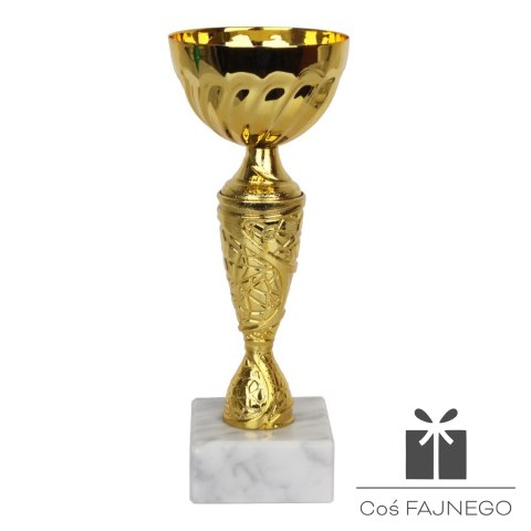 Puchar Tryumf 9098, 0