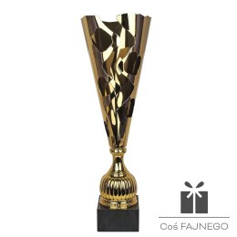 Puchar Tryumf NT934, 0