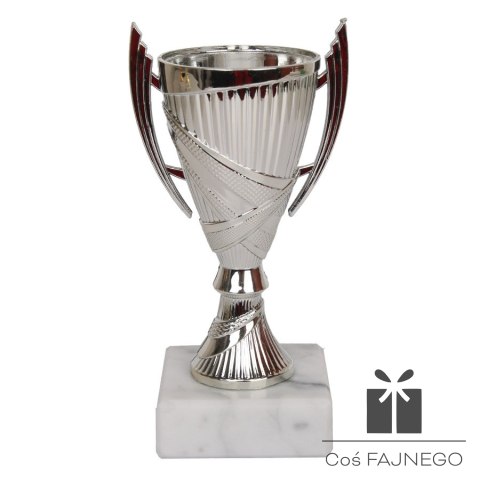 Puchar Tryumf W9082, 0