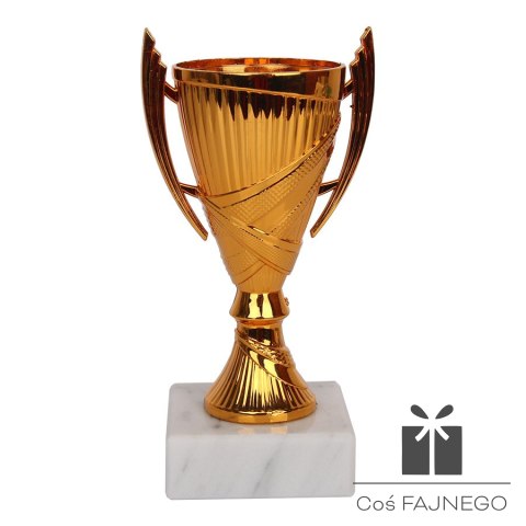 Puchar Tryumf W9082, 0