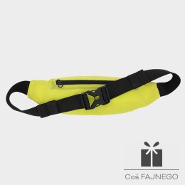 Saszetka na biodro 4F 4FSS23AWAIU029 45N, Rozmiar:: one size