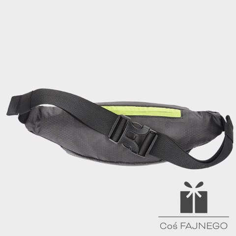 Saszetka na biodro 4F 4FWSS24AWAIU075 22S, Rozmiar:: one size
