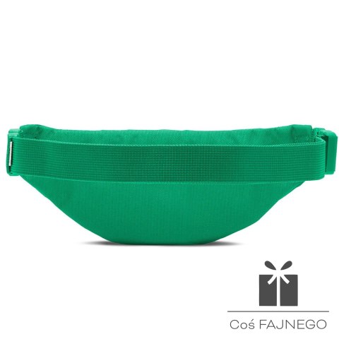 Saszetka nerka Nike Heritage Waistpack DB0488-324, Rozmiar:: one size