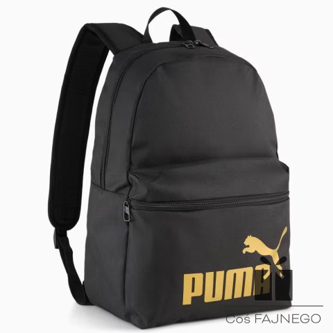 Pleack Puma Phase 091164-03, 0