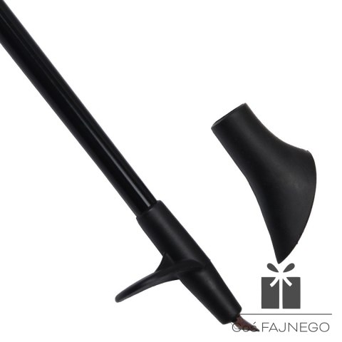 Kije Nordic Walking Titanium, 0