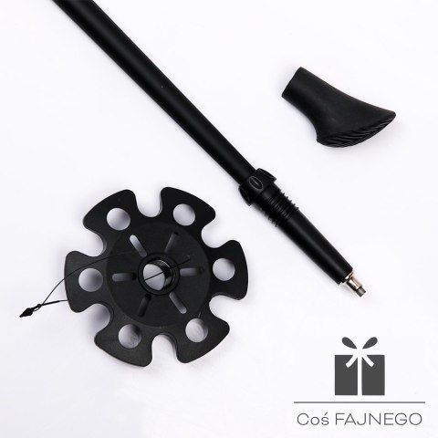 Kije Nordic Walking Viking, 0