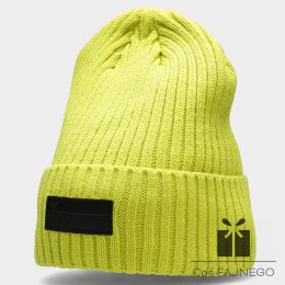 Czapka zimowa 4F H4Z22-CAM013 45N, Rozmiar czapki: L