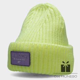 Czapka zimowa 4F HJZ22-JCAD004 72N, Rozmiar czapki: one size