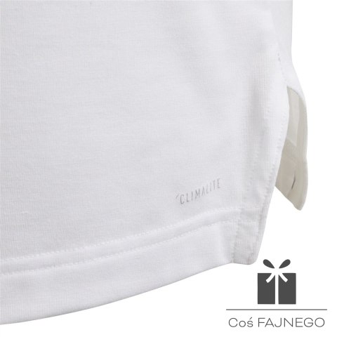 Koszulka adidas YG TR Graph Tee DJ1061, Rozmiar: 170 cm