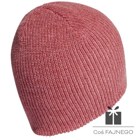 Czapka adidas Logo Beanie HL4826, Rozmiar czapki: OSFW