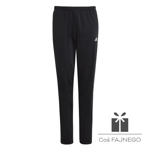 Dres adidas Big Logo TS girls Jr IB8905, Rozmiar: 170 cm