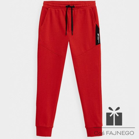 Spodnie 4F 4FJSS23TTROM132 62S, Rozmiar: 122 cm