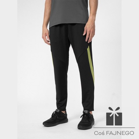 Spodnie 4F 4FSS23TFTRM294 20S, Rozmiar: S