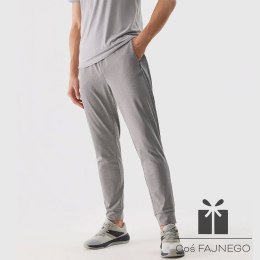 Spodnie 4F 4FWSS24TFTRM452 27M, Rozmiar: XXL