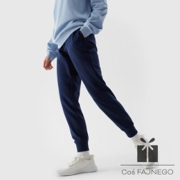 Spodnie 4F 4FWSS24TTROF606 31S, Rozmiar: XXL