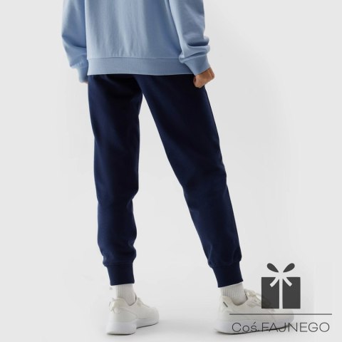 Spodnie 4F 4FWSS24TTROF606 31S, Rozmiar: XXL