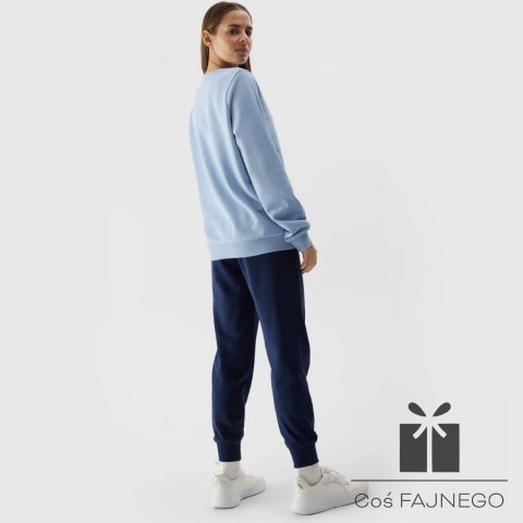 Spodnie 4F 4FWSS24TTROF606 31S, Rozmiar: XXL