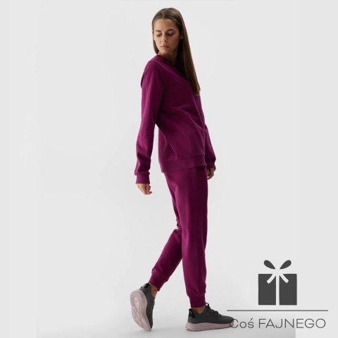 Spodnie 4F 4FWSS24TTROF606 51S, Rozmiar: XXL